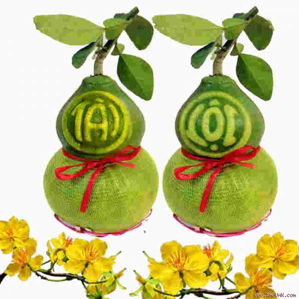 TÀI  LỘC  VÀ  PHƯỚC BÁU